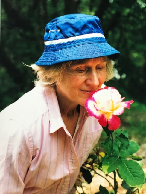 Obituary of Nancy Elizabeth Grove Malone