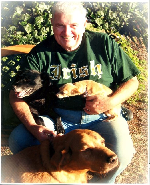 Obituary of John Cuthbert O'Keefe Jr.