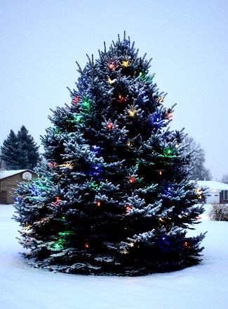 Obituary of Connie Ayers Hunter