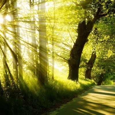 Obituario de Jerome David Walsh