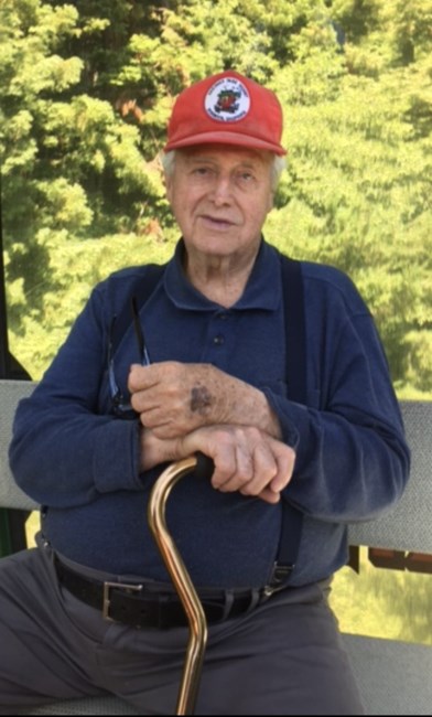 Obituary of Harley Lamar Boswell
