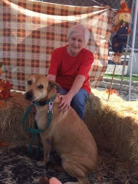 Obituary of Mary "Charlie" Ward