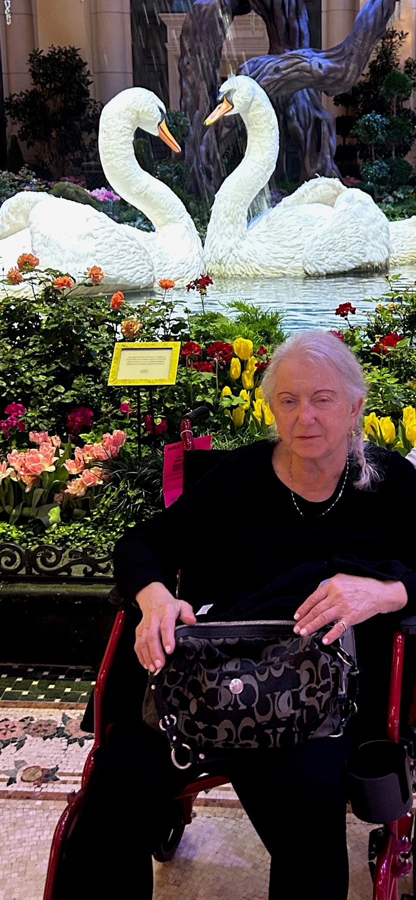 Obituary of Bela Dery