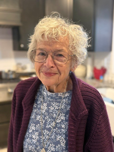 Obituary of Carol Ann Alesnik
