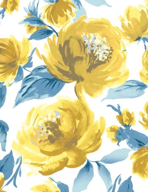 Obituary of Timothy Keith Davis