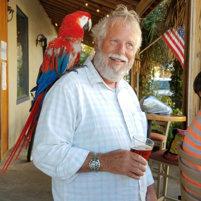 Obituary of Mark Richard Lillis