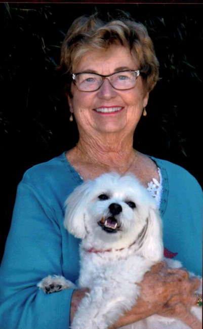 Obituary of Shirley Mae Wiesinger