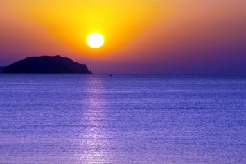 Obituary of Linda M. Bucchi