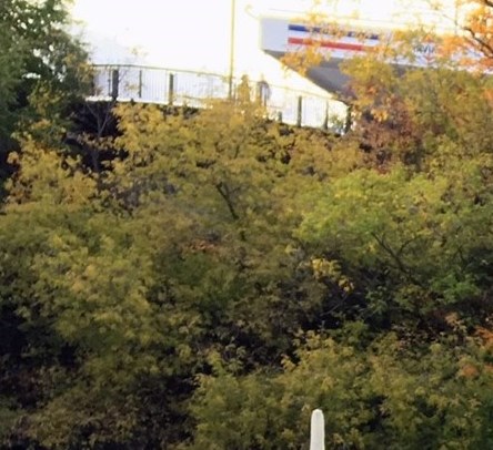 Roland Roy Obituary - l Ancienne-Lorette, QC