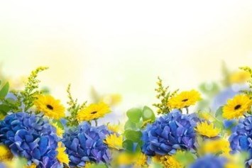 Obituary of Forrest Jean Zimmerman