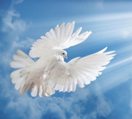 Obituary of Rogelio Hernandez Alvarado