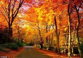 Obituary of Michael Allen Blackstock