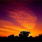 Obituary of Joanna Harris