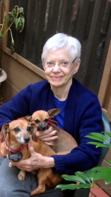 Obituary of Anne Marie Bailey