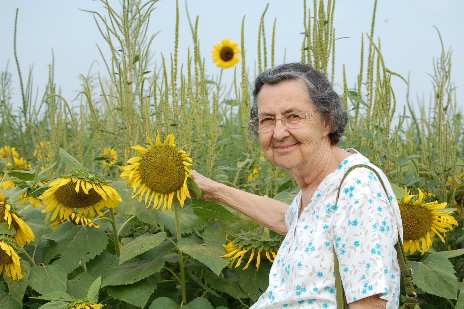 Avis de décès de Shirley E. Smith