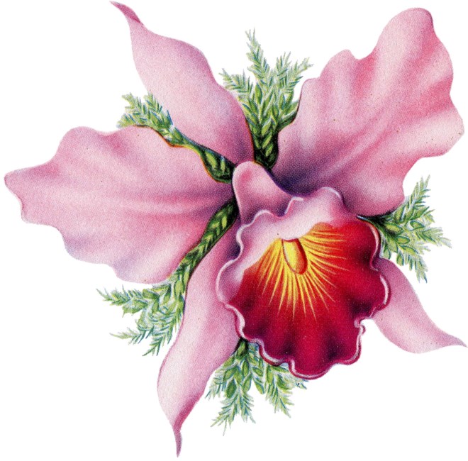 Obituary of Myrtle Nieva Martinez Nazareno