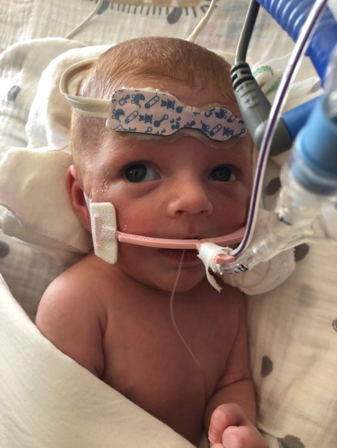 Obituary of David Allen Stein