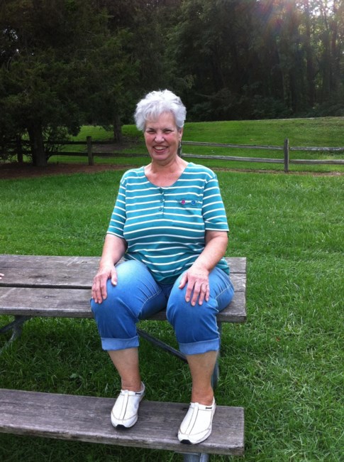 Maryann Cameron Obituary Livonia Mi