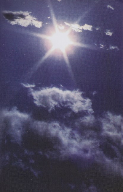 Obituary of Diane Eleanor Varley