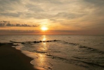 Obituary of Richard J. Padua