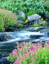 Obituary of Paula Mae Kiger