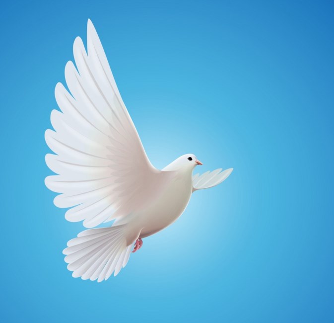 Obituary of Jean L. Johnson
