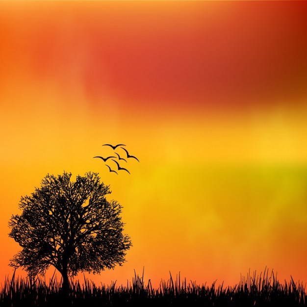 Obituary of James Joseph Strathmann