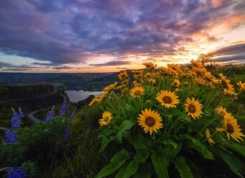 Obituary of Anna Marie (Blickenstaff) Beebe