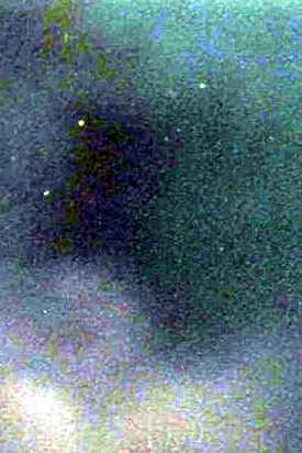 Hai Nguyen Obituary San Diego, CA