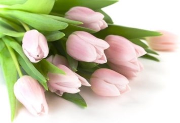 Obituary of Heather Lynne Vonbergen