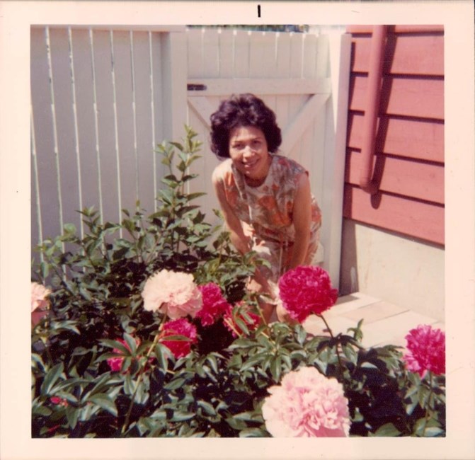 Obituary of Dr. Viola May Chou