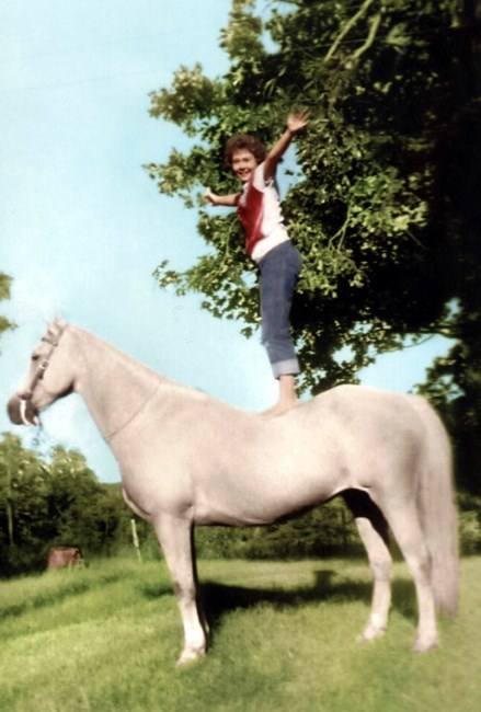 Obituary of Bonita Kay McKisson