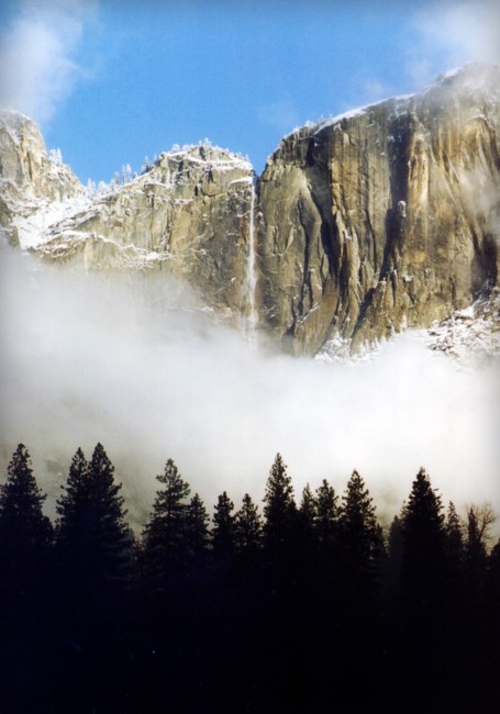 Obituario de Damien Mitchell (Samuel Cortez)