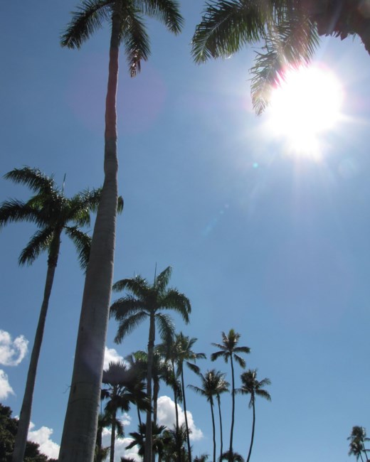 Obituary of Charles Francis Kaheleokalani Fernandes