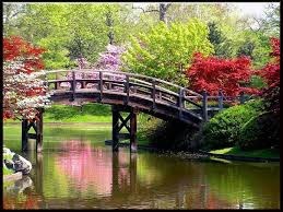 Obituary of Frederick Allen Bliss