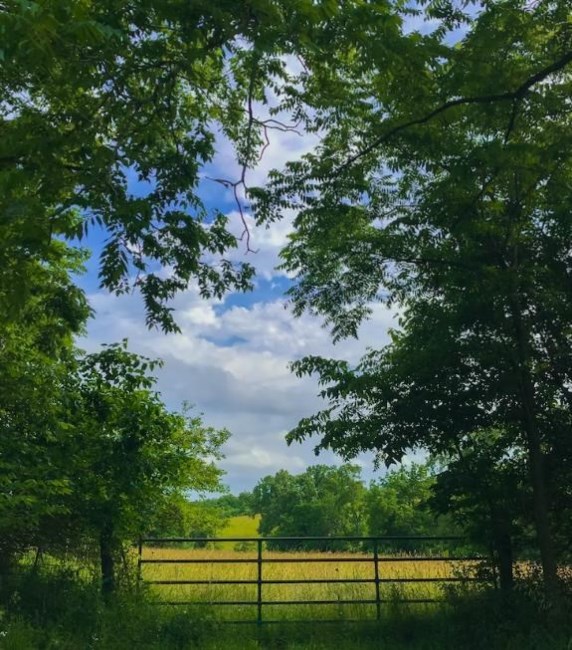 Obituary of Robert Ronald Burgess Jr.