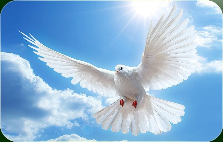 Obituary of Maria Teresa Solis