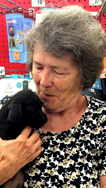 Obituary of Janet Kathleen Hayes