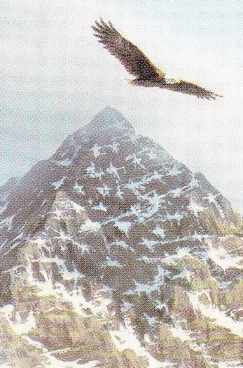 Obituary of Robert Leroy Engle