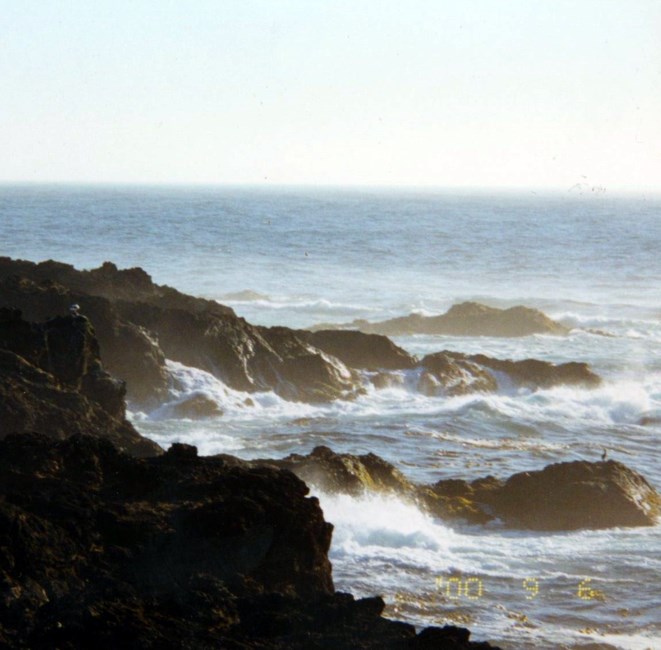 Obituary of Beverly Jean Kent