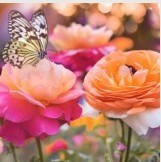 Obituary of Maria Jacoba Hurban