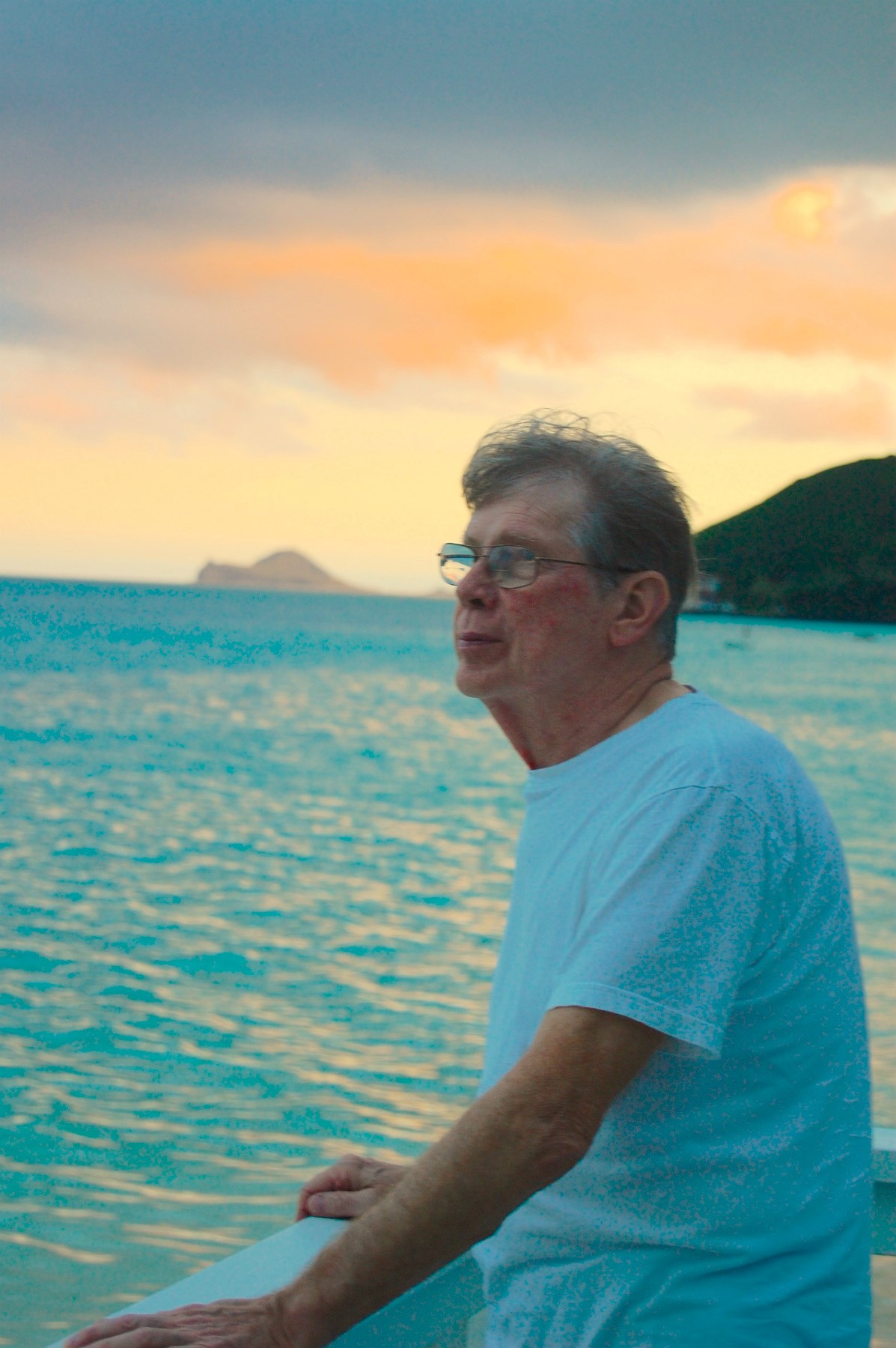 Edward Stedman Obituary - Arlington Heights, IL