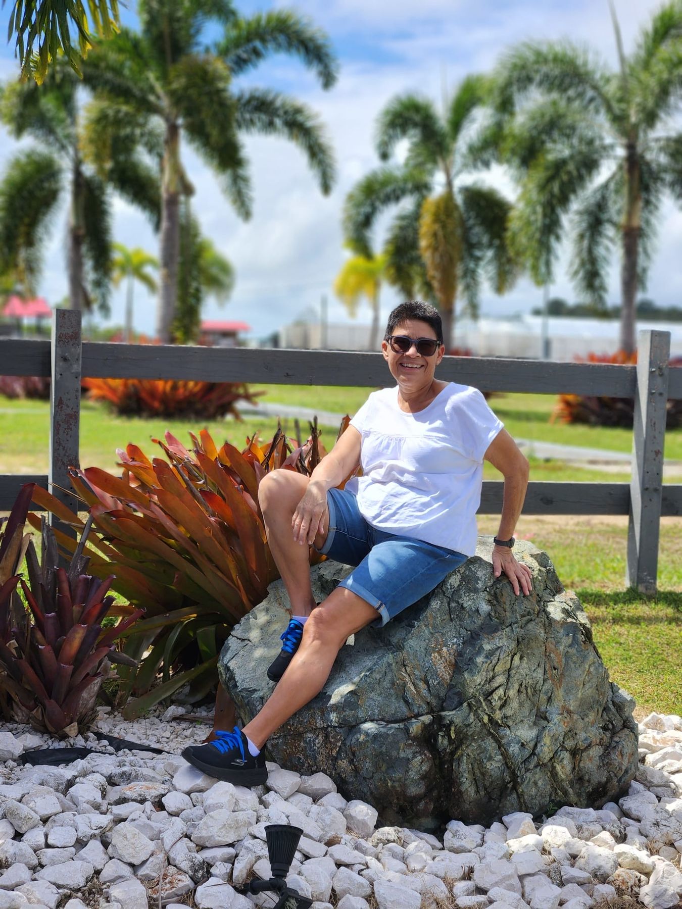Obituario de Carmen Iris Rosado Figueroa