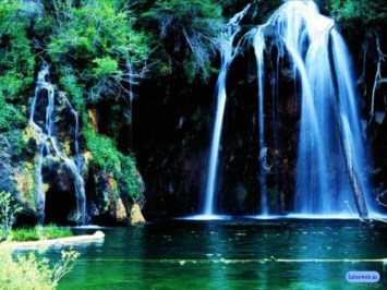 Obituary of Richard A Cole