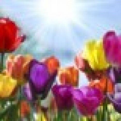 Obituary of Emma Lou Copella