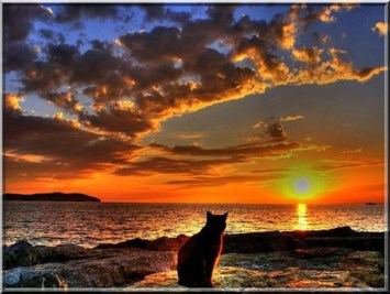 Obituary of Francine E. Coffey