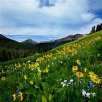 Avis de décès de Robert Wayne Fisher