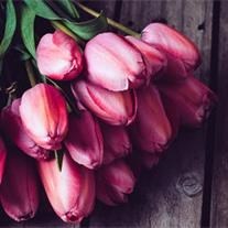 Obituary of Gloria J Stevens