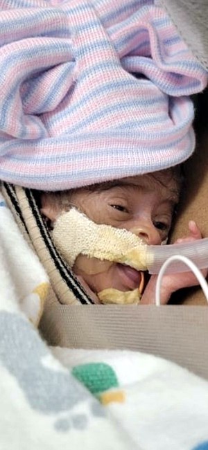 Obituary of Logan Eisley Williams