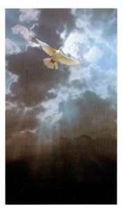 Obituary of Victor Jose Peroldo